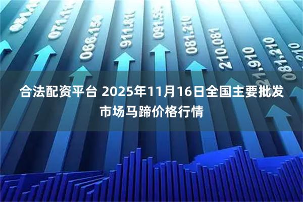 合法配资平台 2025年11月16日全国主要批发市场马蹄价格行情