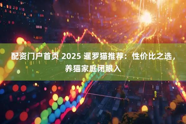 配资门户首页 2025 暹罗猫推荐：性价比之选，养猫家庭闭眼入