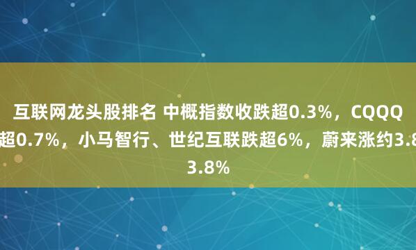 互联网龙头股排名 中概指数收跌超0.3%，CQQQ跌超0.7%，小马智行、世纪互联跌超6%，蔚来涨约3.8%